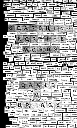 Imagen de archivo de Searching for the Words: Magnet Poems a la venta por PlumCircle