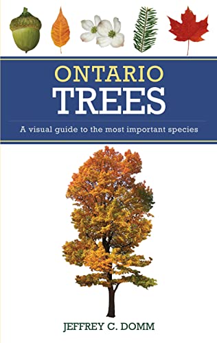 Stock image for Ontario Trees: AVisual Guide to the Most Important Species for sale by Books Galore & More...