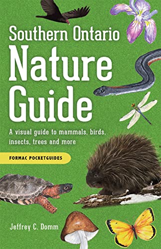 Stock image for Southern Ontario Nature Guide: A visual guide to mammals, birds, insects, trees and more (English and English Edition) for sale by GF Books, Inc.