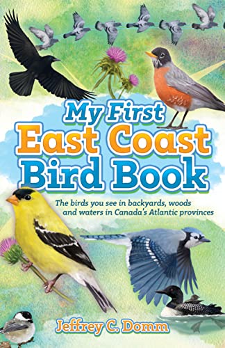 Stock image for My First East Coast Bird Book: The birds you see in back yards, woods, and waters in Canada's Atlantic provinces for sale by GF Books, Inc.