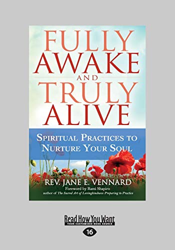 Imagen de archivo de Fully Awake and Truly Alive: Spiritual Practices to Nurture your Soul a la venta por Revaluation Books