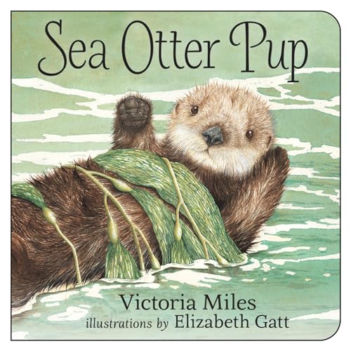 Beispielbild fr Sea Otter Pup zum Verkauf von SecondSale