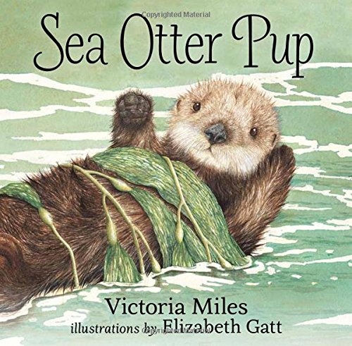 Stock image for Sea Otter Pup for sale by SecondSale