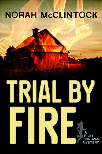 Stock image for Trial by Fire (Riley Donovan, 1) for sale by Half Price Books Inc.