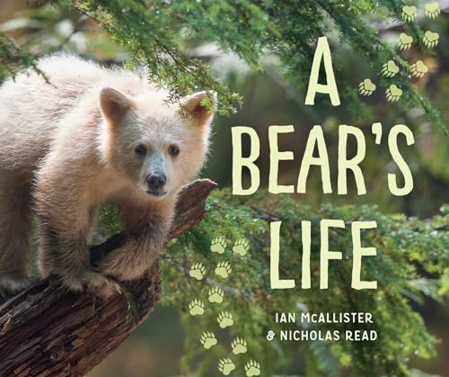 Beispielbild fr A Bear's Life zum Verkauf von Better World Books