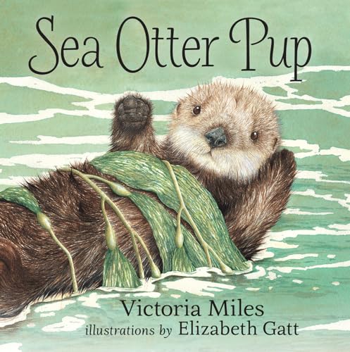 Stock image for Sea Otter Pup for sale by SecondSale