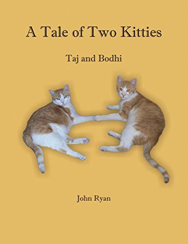9781460218532: A Tale of Two Kitties: Taj and Bodhi