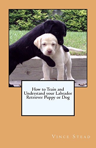 9781460924624: How to Train and Understand your Labrador Retriever Puppy or Dog