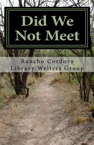 Stock image for Did We Not Meet for sale by Revaluation Books