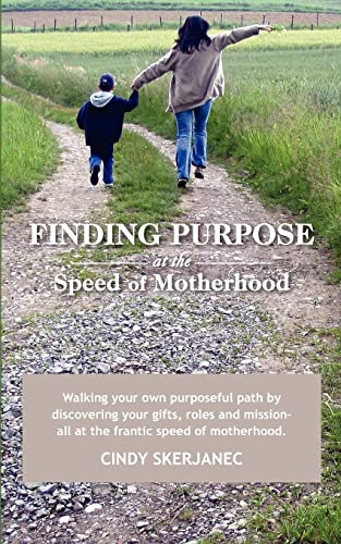 Imagen de archivo de Finding Purpose at the Speed of Motherhood a la venta por THE SAINT BOOKSTORE