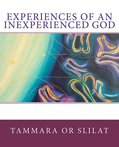 Imagen de archivo de Experiences of an Inexperienced God a la venta por WorldofBooks
