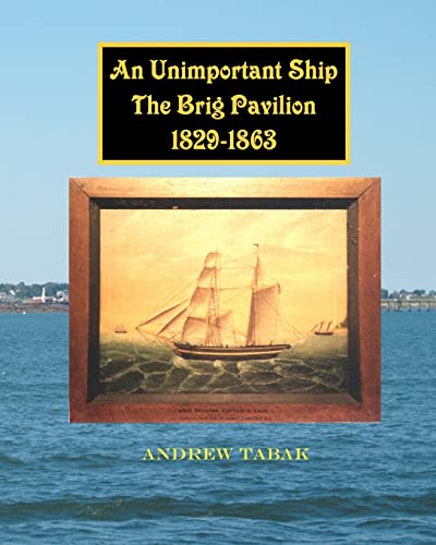 AN UNIMPORTANT SHIP THE BRIG PAVILION 182 - 1863.