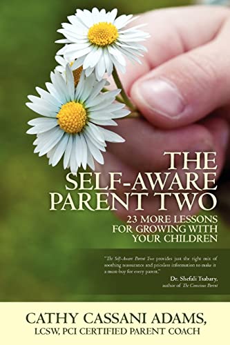 9781461109877: The Self-Aware Parent Two: 23 More Lessons for Growing with Your Children