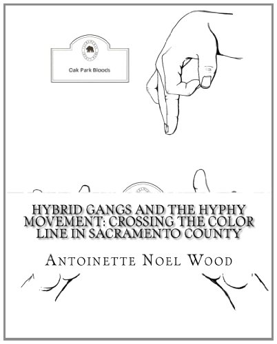 Imagen de archivo de Hybrid Gangs and the Hyphy Movement: Crossing the Color Line in Sacramento County a la venta por ThriftBooks-Dallas