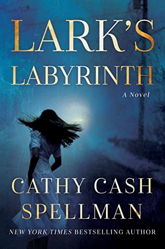 Imagen de archivo de Lark's Labyrinth a la venta por Better World Books