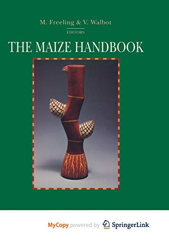 9781461226956: The Maize Handbook