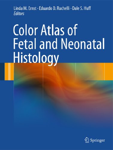 Stock image for Color Atlas of Fetal and Neonatal Histology for sale by Salish Sea Books