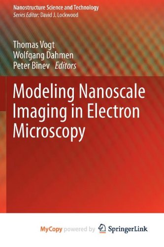 9781461421924: Modeling Nanoscale Imaging in Electron Microscopy