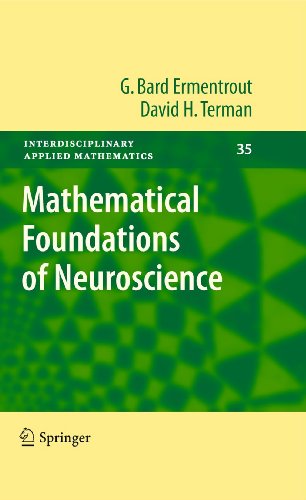 9781461426219: Mathematical Foundations of Neuroscience: 35 (Interdisciplinary Applied Mathematics)