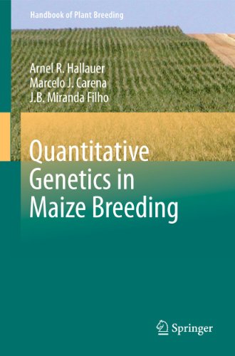 Stock image for Quantitative Genetics in Maize Breeding (Handbook of Plant Breeding, 6) for sale by BooksRun