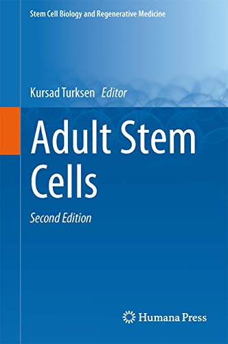 Adult stem cells.