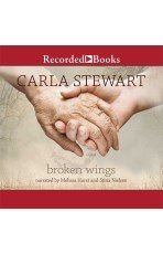 Stock image for Broken Wings for sale by Irish Booksellers