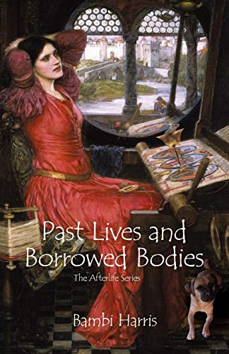 Imagen de archivo de Past Lives and Borrowed Bodies: The Afterlife Series a la venta por Lucky's Textbooks