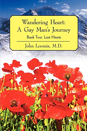 Stock image for Wandering Heart: A Gay Man's Journey: Book Two: Lost Hearts for sale by SecondSale