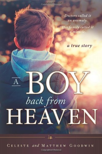 Stock image for A Boy Back from Heaven for sale by ThriftBooks-Dallas