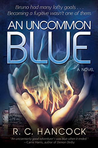 Beispielbild fr An Uncommon Blue zum Verkauf von Jenson Books Inc