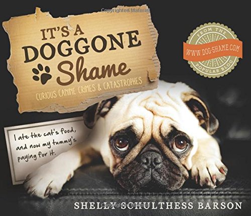 Beispielbild fr It's a Doggone Shame: Curious Canine Crimes and Catastrophes zum Verkauf von ThriftBooks-Dallas