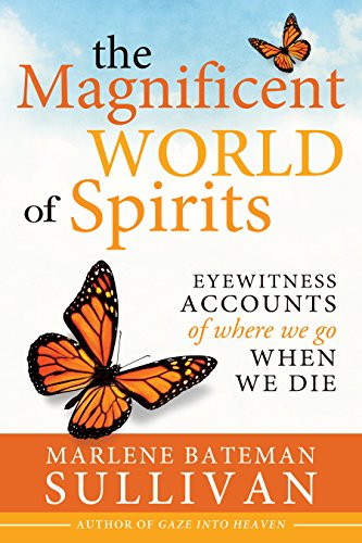 Stock image for The Magnificent World of Spirits: Eyewitness Accounts of Where We Go When We Die for sale by Goodwill of Colorado
