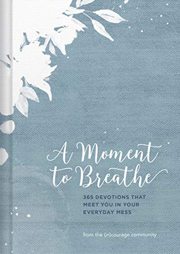 Beispielbild fr A Moment to Breathe: 365 Devotions that Meet You in Your Everyday Mess zum Verkauf von SecondSale