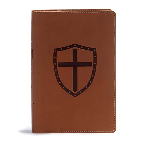 Stock image for CSB Defend Your Faith Bible, Walnut LeatherTouch, Red Letter, Full-Color Design, Presentation Page, Apologetics, Study Helps, Images, Profiles, Full-Color Maps, Easy-to-Read Bible Serif Type for sale by GF Books, Inc.