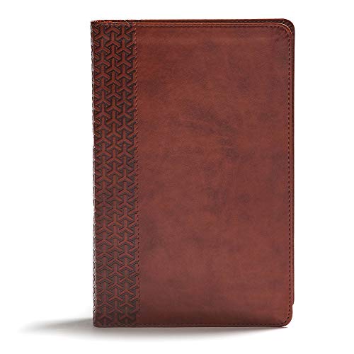 Beispielbild fr CSB Everyday Study Bible, British Tan LeatherTouch, Black Letter, Study Notes, Illustrations, Aricles, Easy-to-Carry, Easy-to-Read Bible Serif Type zum Verkauf von BooksRun