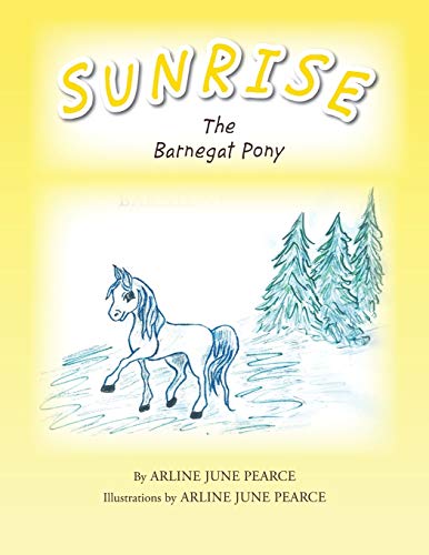 Imagen de archivo de Sunrise the Barnegat Pony a la venta por Chiron Media