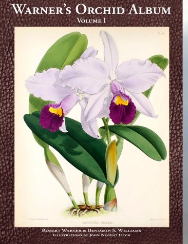 Stock image for Warner's Orchid Album: Growing Classic Orchid Species and Hybrids, Notes on Easy to Grow Orchid Care and Culture for Beginners and Professionals, and Fine Botanical Illustrations (Volume 1) for sale by Revaluation Books