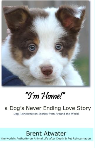 9781463578244: "I'm Home!" a Dog's Never Ending Love Story: Animals Afterlife, Pets Soul Contracts, Animal Reincarnation, Animal Communication, Animals Spirits and Pet Reincarnation