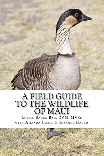 Beispielbild fr A Field Guide to the Wildlife of Maui zum Verkauf von ThriftBooks-Atlanta