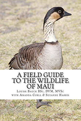 Stock image for A Field Guide to the Wildlife of Maui for sale by ThriftBooks-Atlanta
