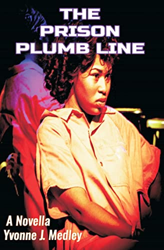 9781463766399: The Prison Plumb Line