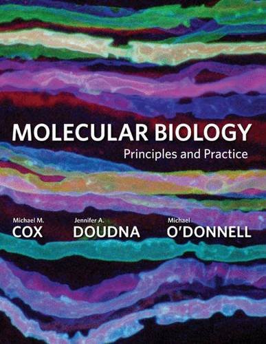 Beispielbild fr Molecular Biology: Principles and Practice zum Verkauf von Anybook.com