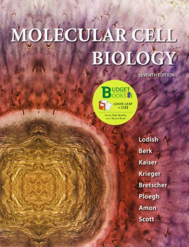 Stock image for Loose-leaf Version for Molecular Cell Biology for sale by Wizard Books