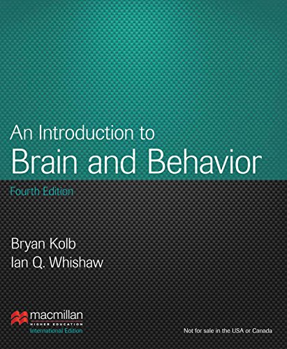 Stock image for An Introduction to Brain & Behavior for sale by WorldofBooks