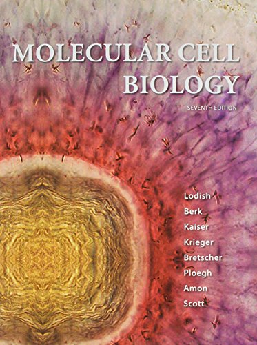 Molecular Cell Biology & Solutions Manual (9781464127403) by Lodish, Harvey; Kaiser, Chris A.; Krieger, Monty; Bretscher, Anthony; Ploegh, Hidde; Amon, Angelika