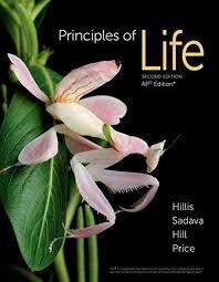 Imagen de archivo de Principles of Life, Second Edition By Hillis a la venta por ThriftBooks-Dallas