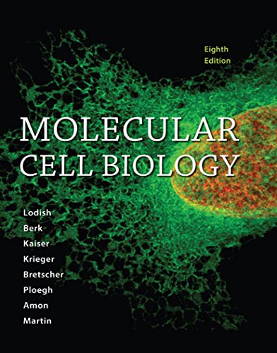 Beispielbild fr Molecular Cell Biology zum Verkauf von BooksRun