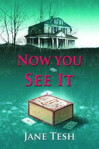 Now You See It: A Grace Street Mystery (Grace Street Mysteries)