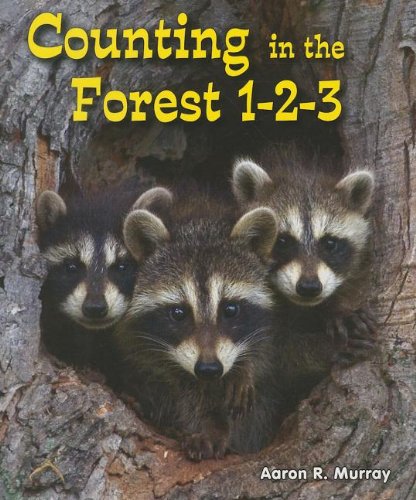 Imagen de archivo de Counting in the Forest 1-2-3 a la venta por BookOutlet