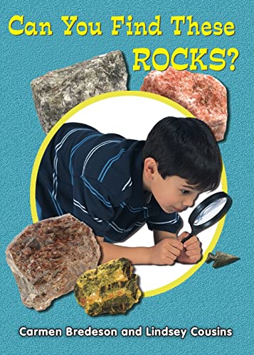 Beispielbild fr Can You Find These Rocks? zum Verkauf von Books Puddle